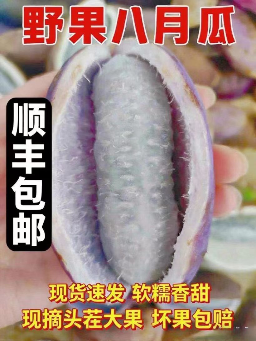 云南深山野生八月瓜当季鲜果现摘顺丰包邮美味水果