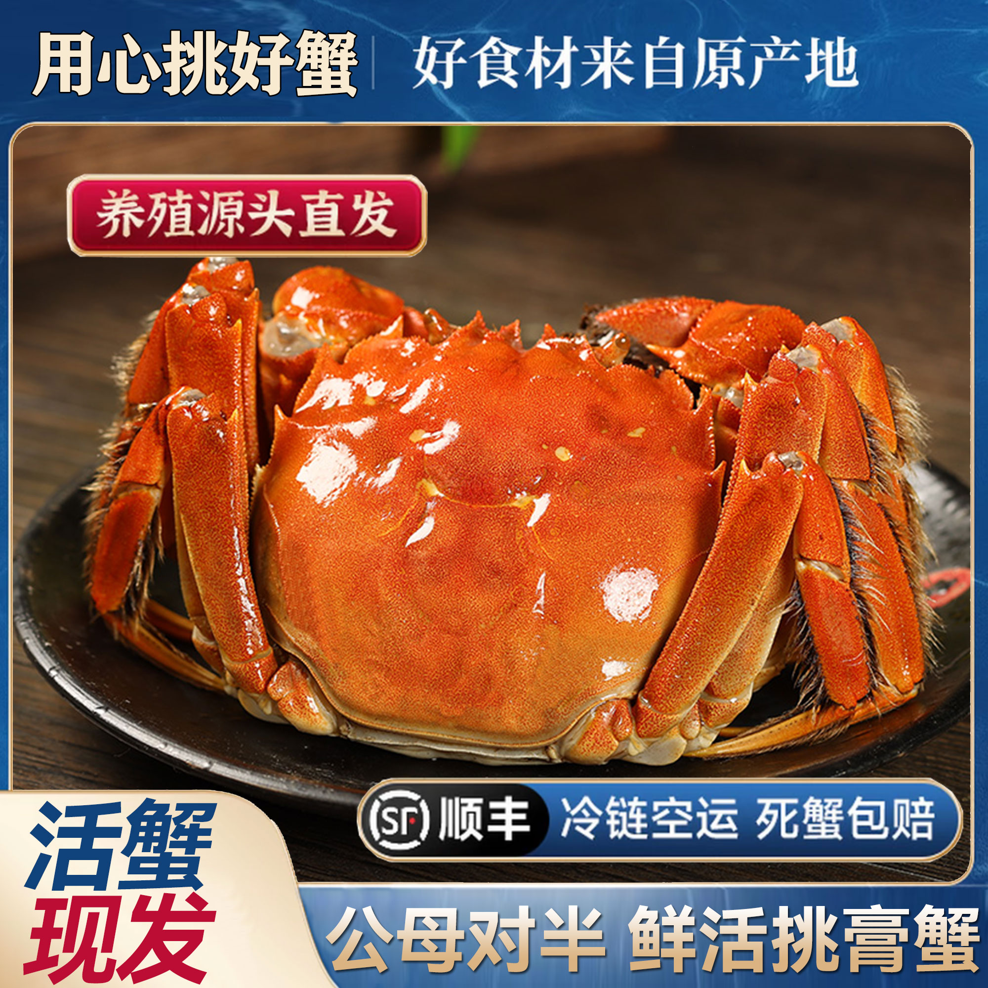 【江苏活蟹】大闸蟹 公(6.0-5.7两)母(5.0-4.7两) 4-8只 顺丰包邮X