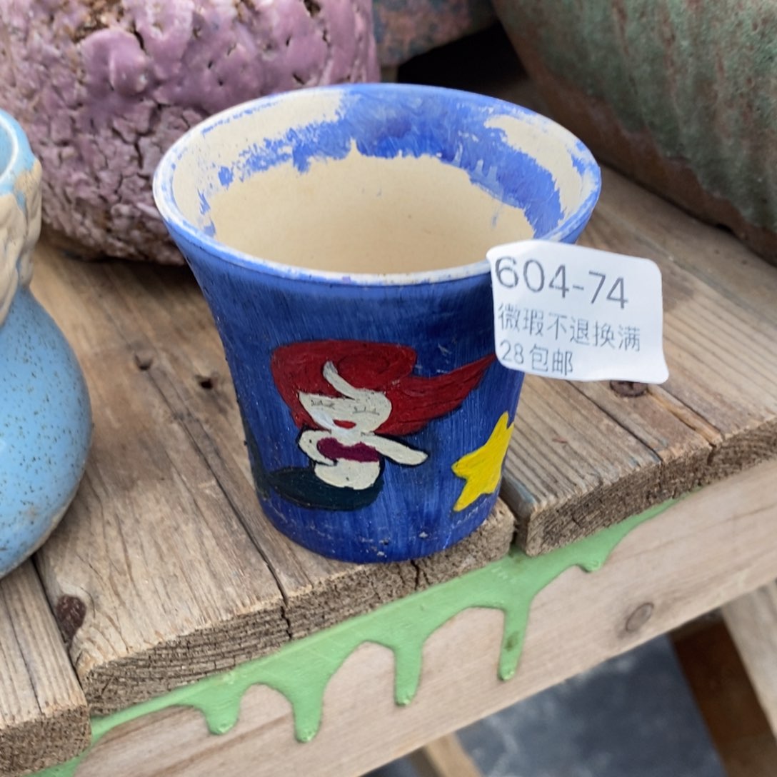 74号多肉盆口径6小可爱