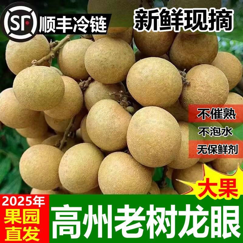 【顺丰】广东茂名储良龙眼/石硖组合装新鲜当季清甜多汁冷链保鲜