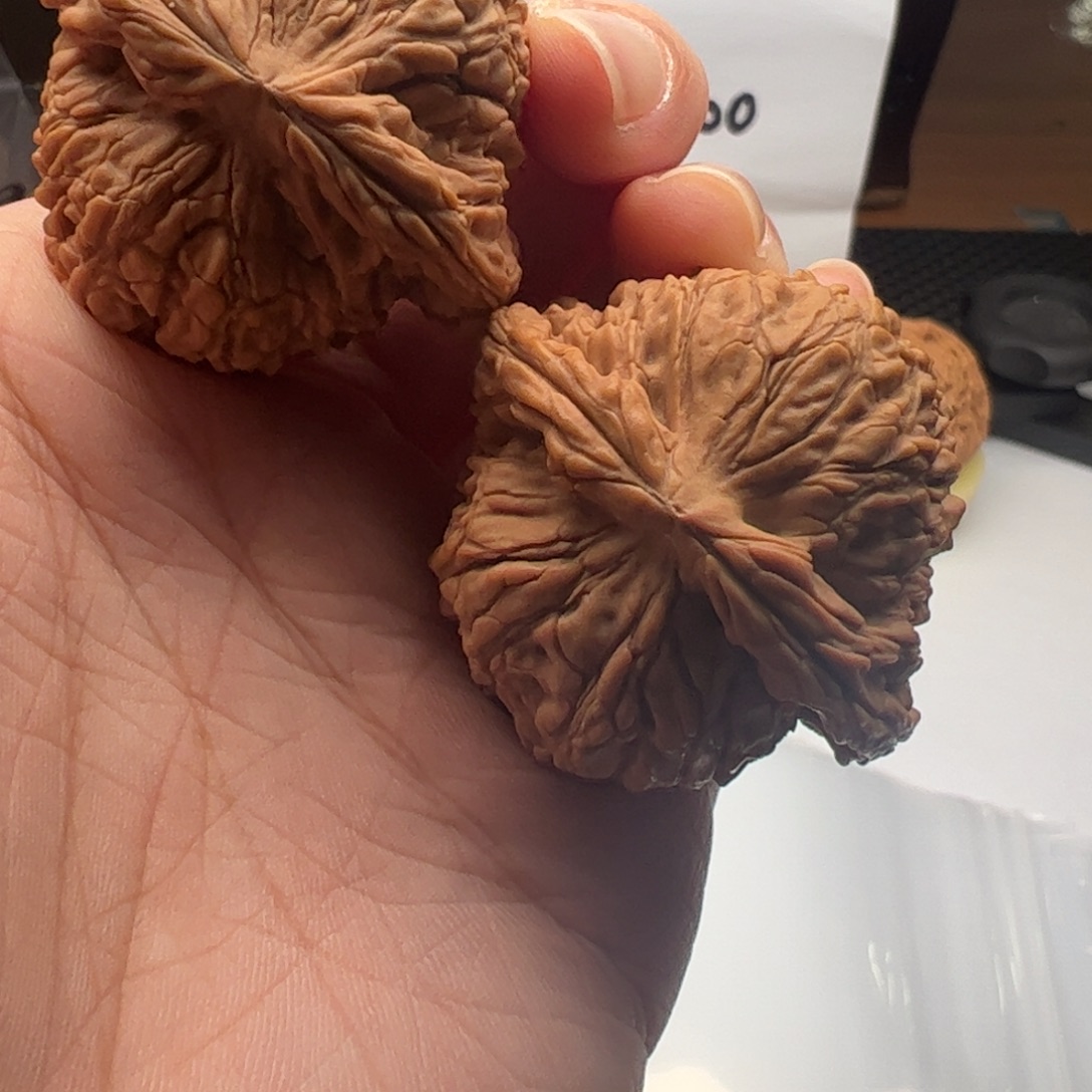 文玩核桃吊坠南疆41