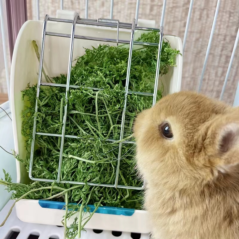 包邮烘干胡萝卜樱子宠物兔子龙猫豚鼠干草牧草消化明目萝卜缨  
