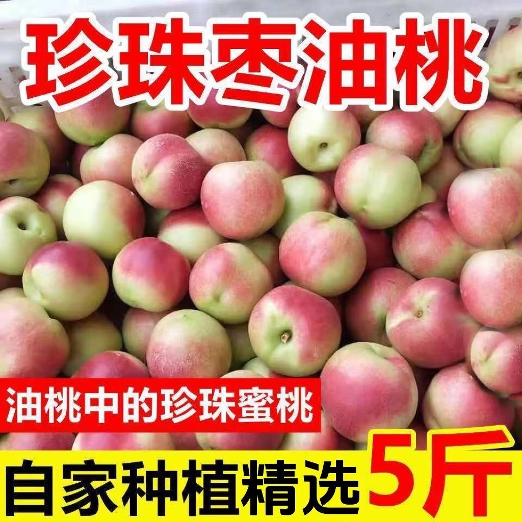 【珍珠枣油桃】脆甜珍珠枣蜜桃3号-离核露天头茬新鲜应季水果