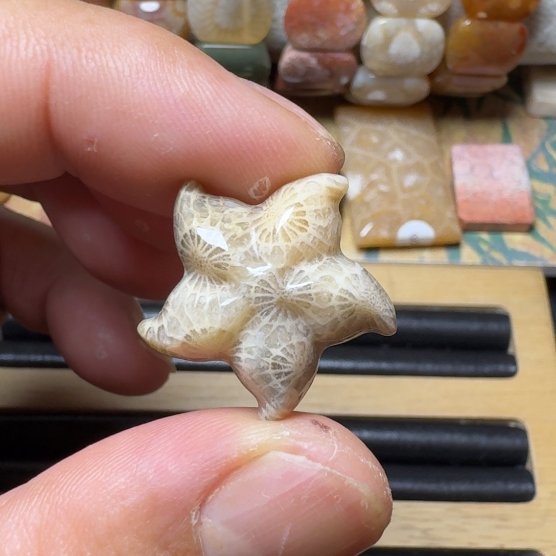 硅化玉蕾丝花 海星未镶嵌