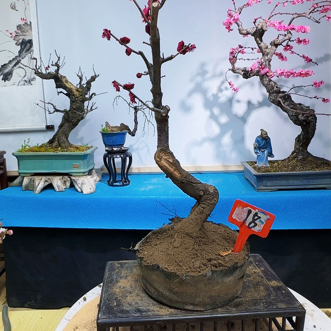 无铅玻璃盖**雄s f n k k l l