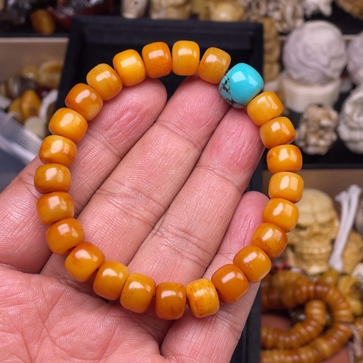 驼骨摆件人工养殖