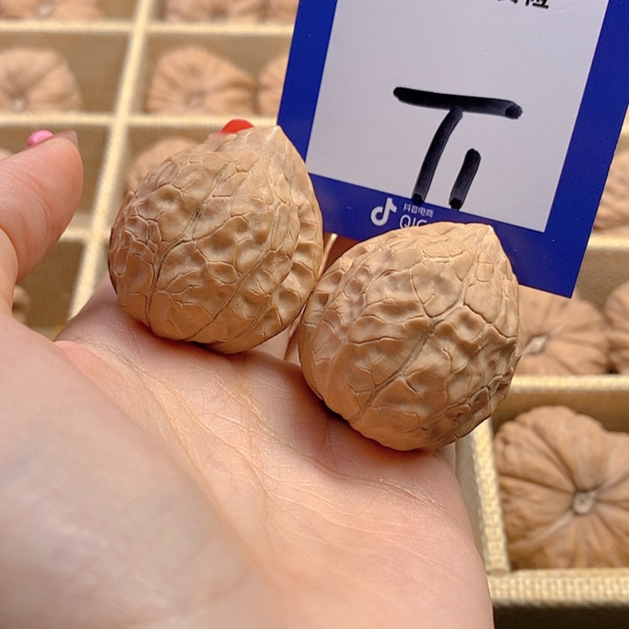 【闪购商品】把件文玩核桃文玩核桃龟甲文1