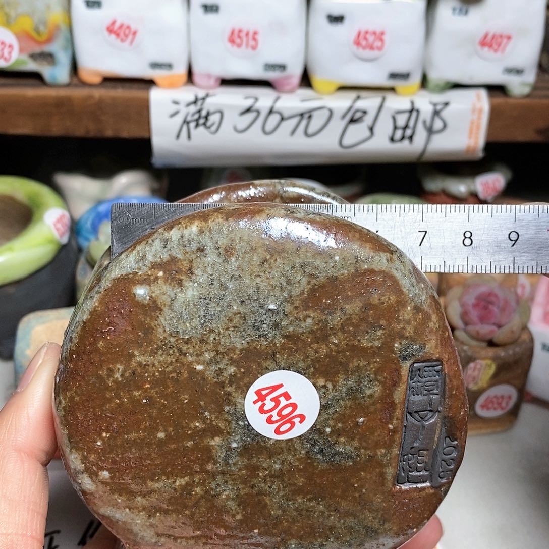 红陶拍5送一个小