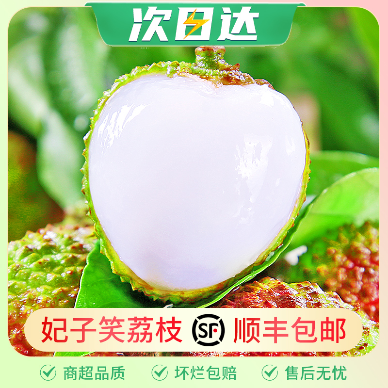 【顺丰速发】海南妃子笑荔枝1-5斤新鲜头茬现摘水果核小肉厚香甜荔枝同城送