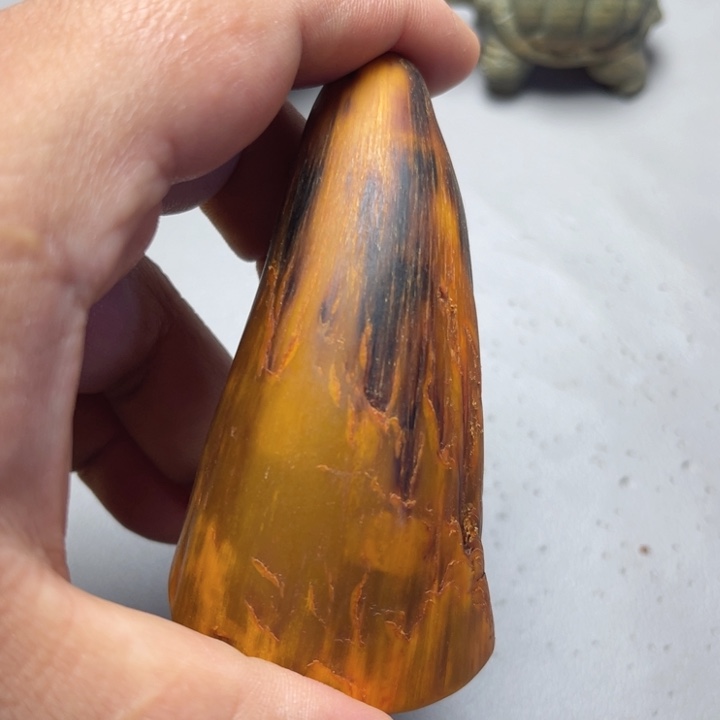 大果紫檀（缅甸花梨）