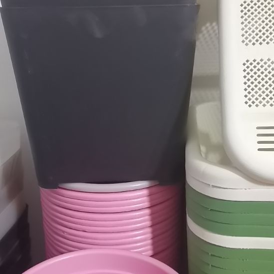 大黑方22口径三个带托盘