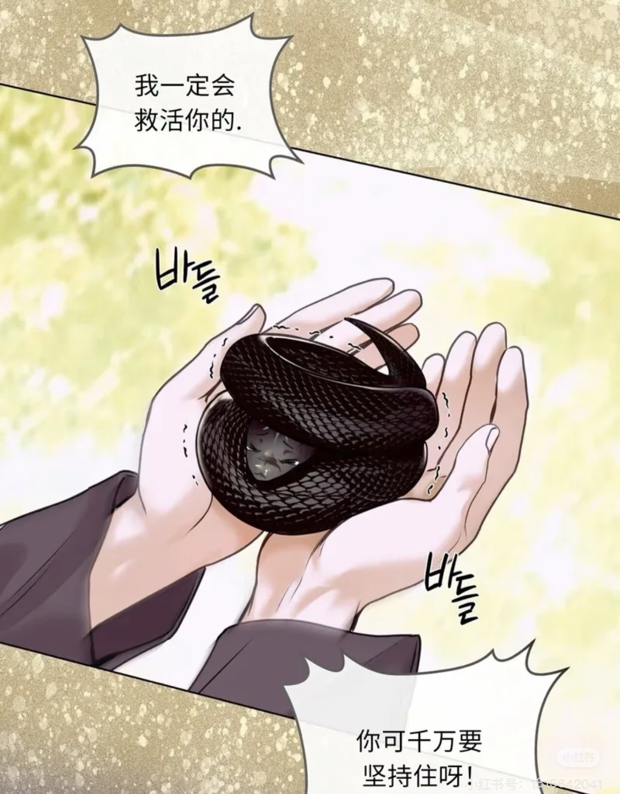 宠物蛇专属改价链接 拍下备注蛇蛇编号