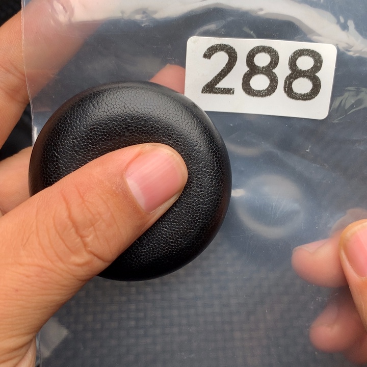 大果紫檀（缅甸花梨）