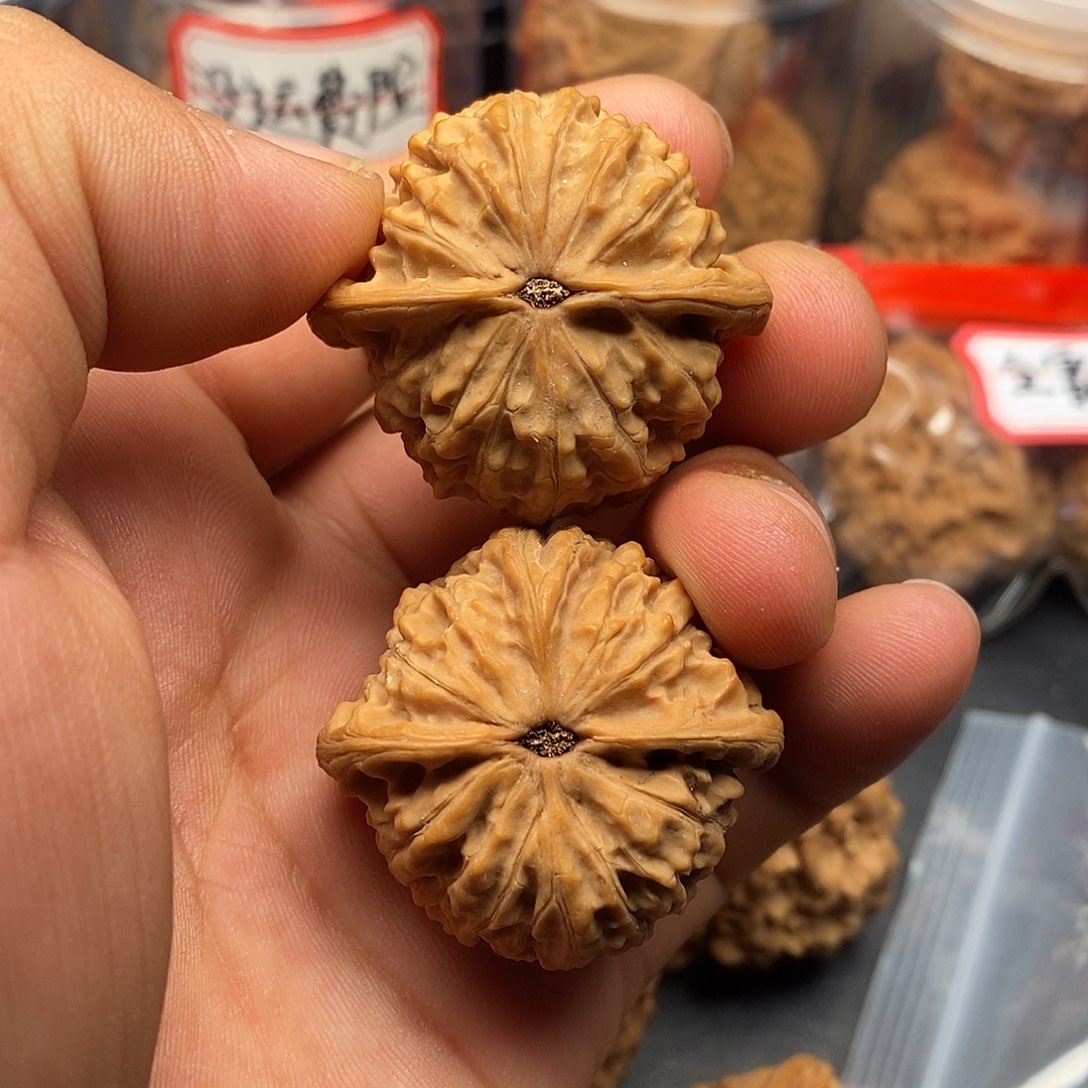 文玩核桃把件五**瘦金牛39