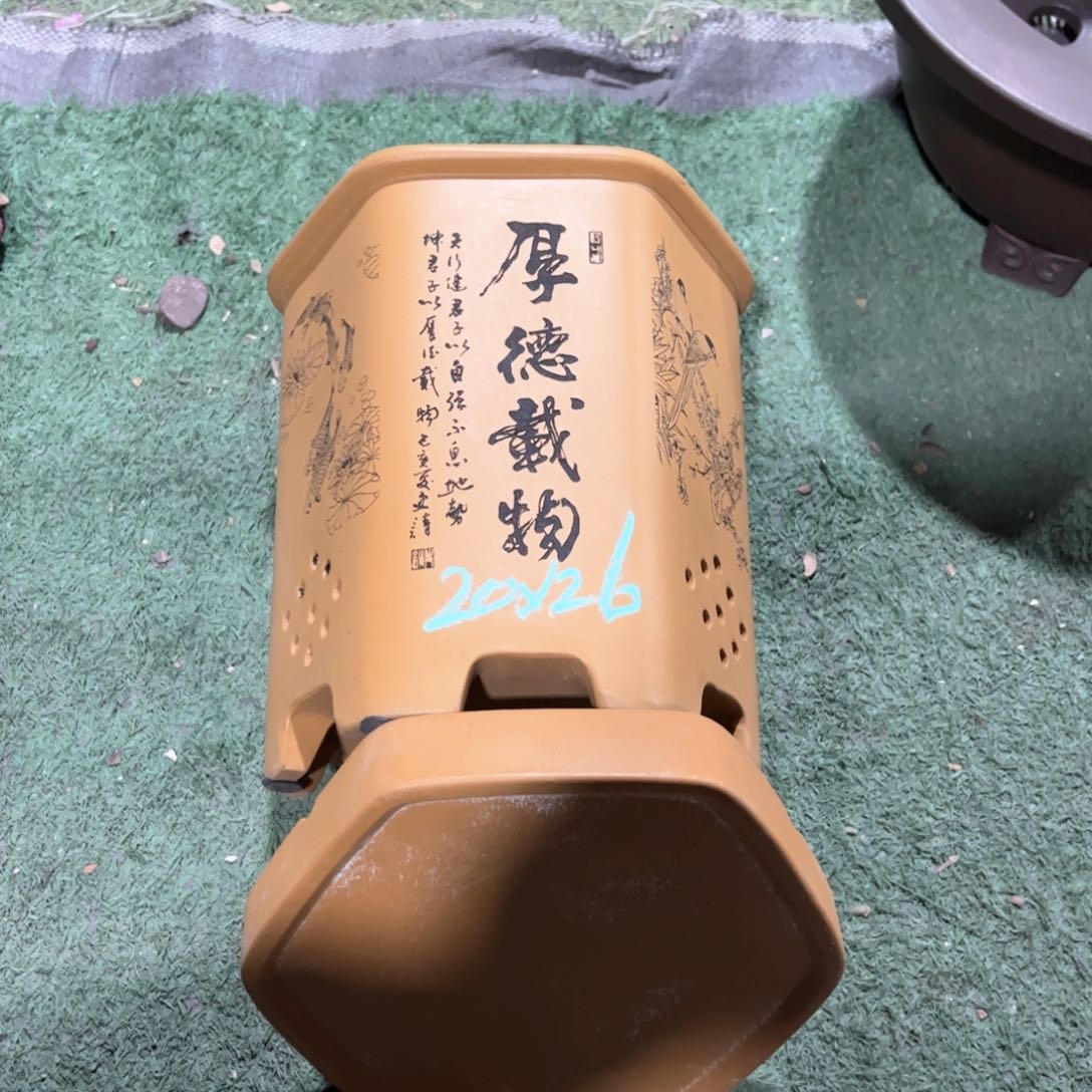紫砂花盆紫砂花盆