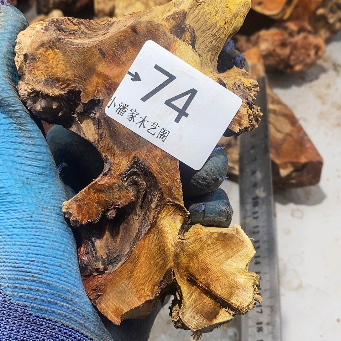 香榧木起*火琉璃……火琉璃