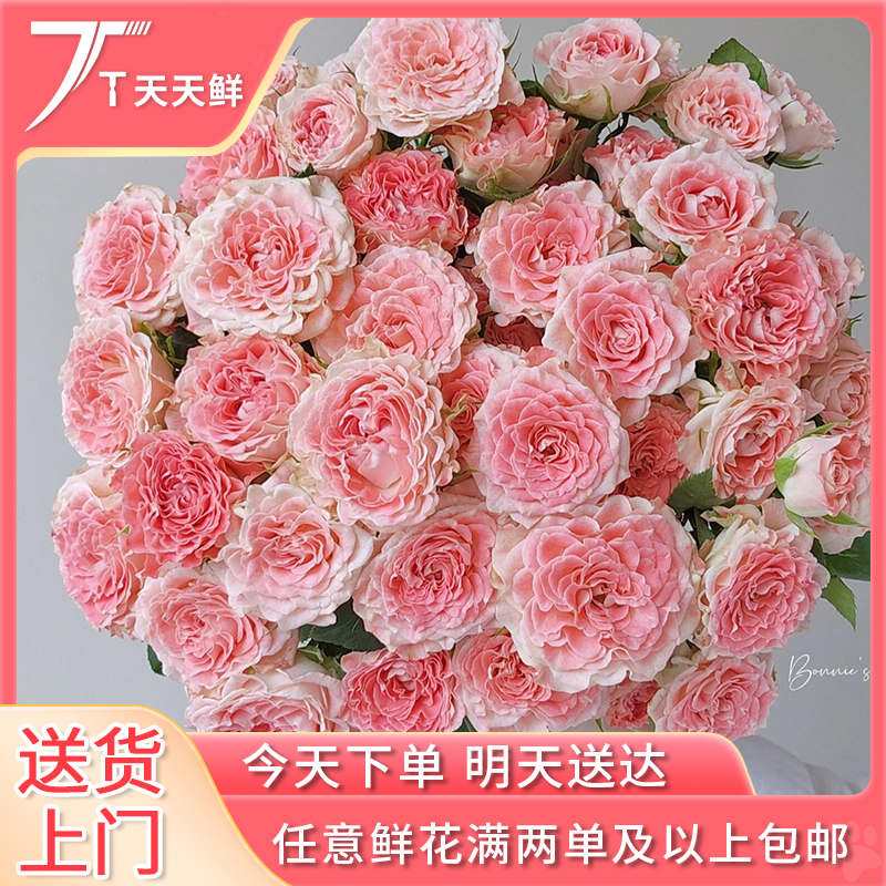 元旦热卖【 顺丰次日达 · 5支 小仙女多头玫瑰】鲜花任意两单顺丰送货上门