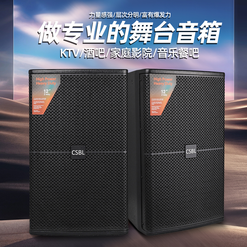 专业演出音箱12寸家庭KTV音响酒吧唱歌包厢人声经典音质重低音频