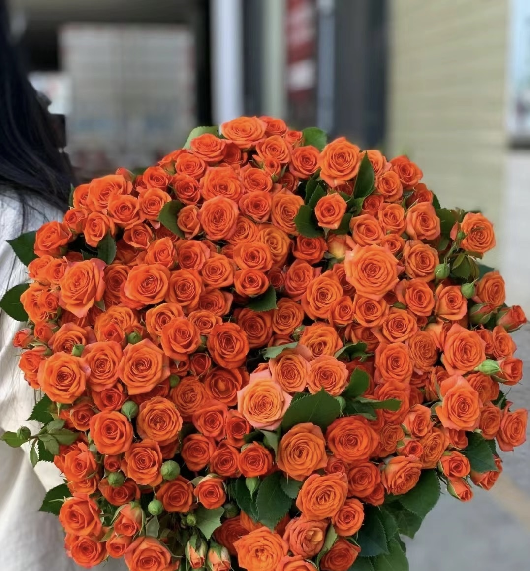 【橙色芭比多头玫瑰 】【叁叁专属】新鲜云南基地直发鲜花批发包邮
