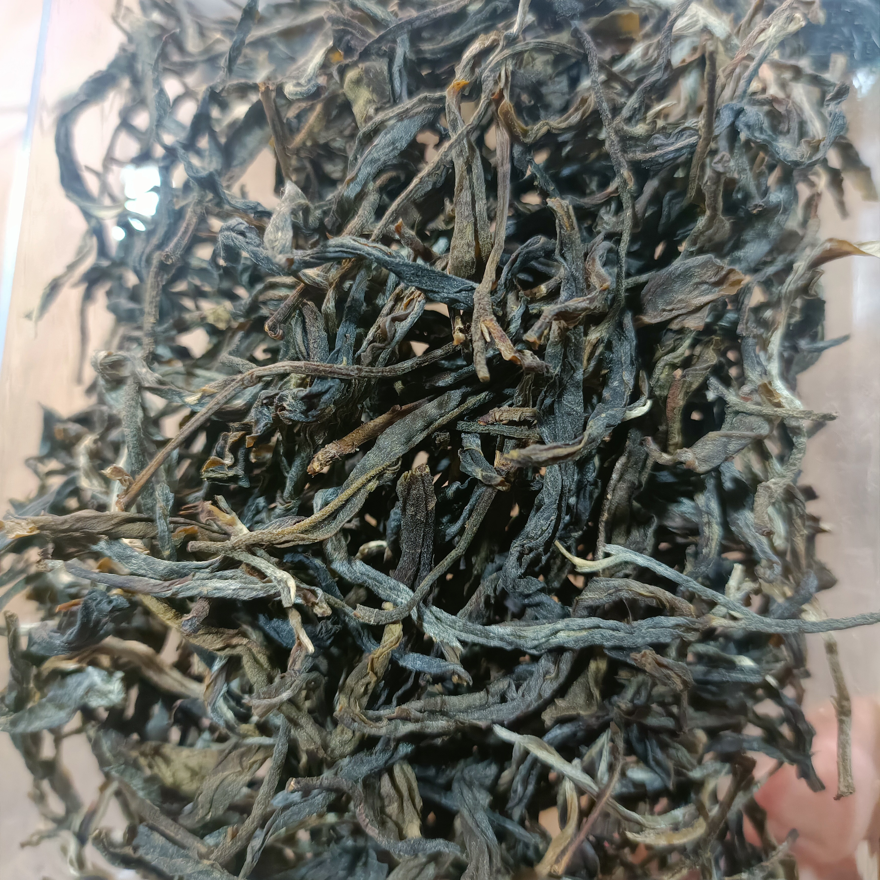 【至今没电没网的山头】2023年小荒田 古树 春茶 (云姐推荐好茶) 