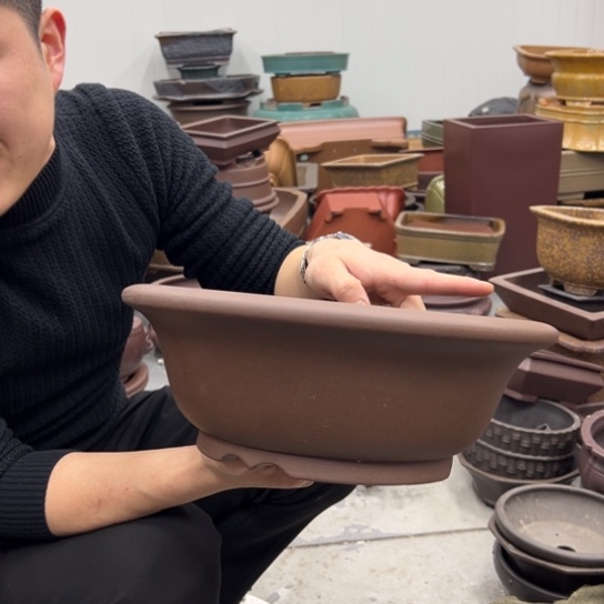 紫砂花盆里都藏满花