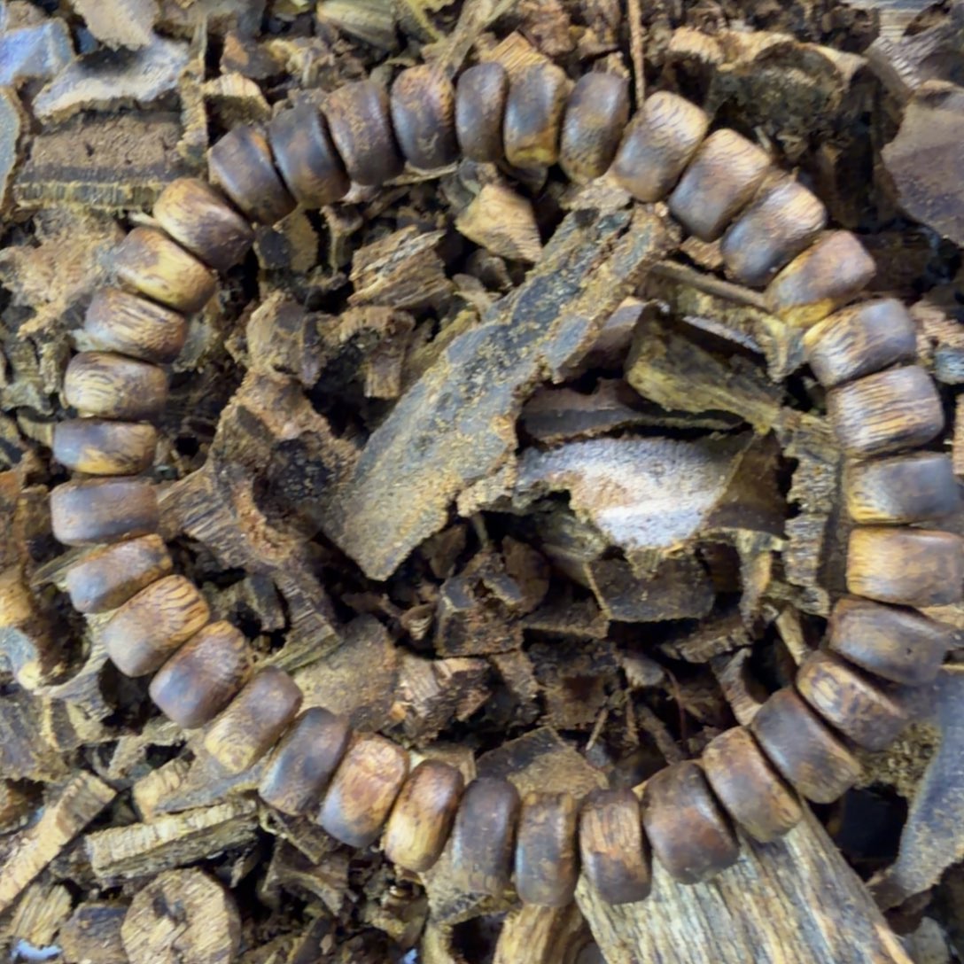 沉香沉香碎屑张勺子虫漏单圈算盘珠卡0.8多样性发一6克