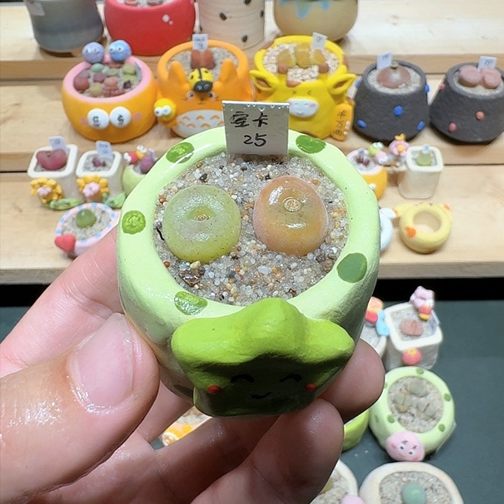 红陶蘑菇784空卡