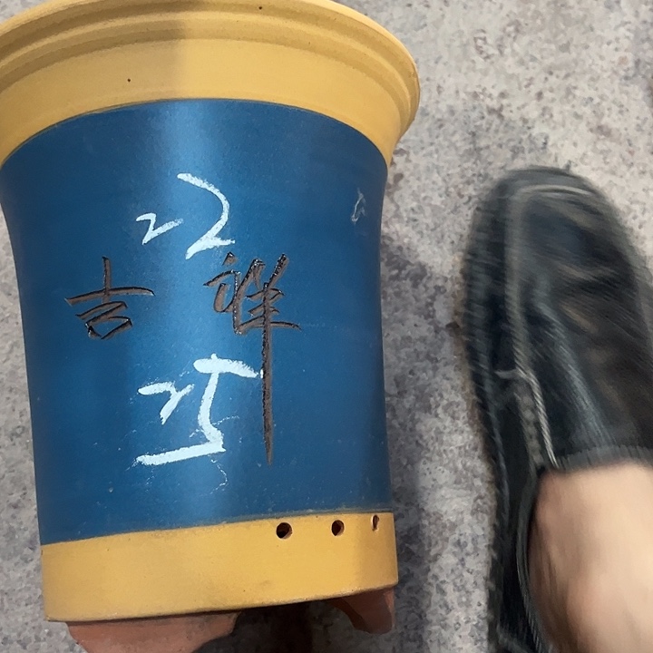 紫砂工艺厂……紫砂工艺厂……