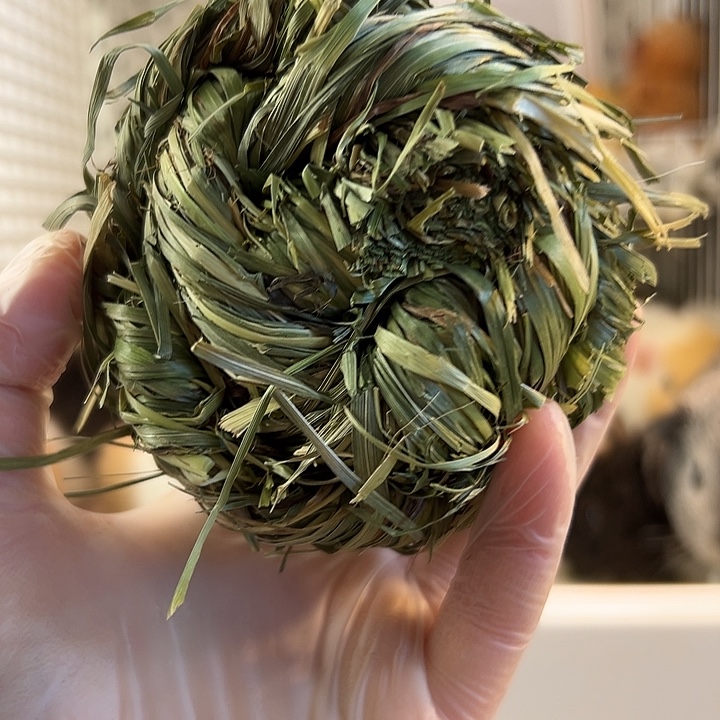 提摩西草草球提摩西磨牙