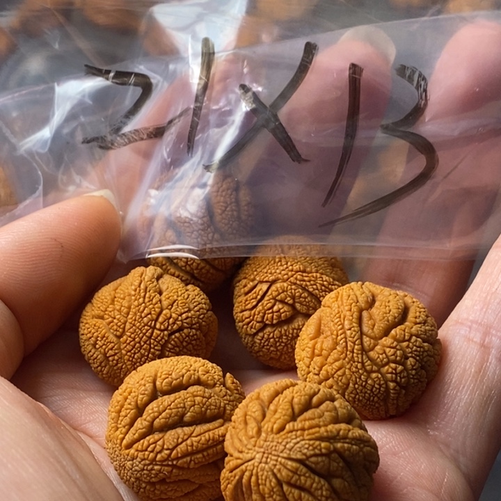 文玩核桃手串秦岭野生龙纹桃核21