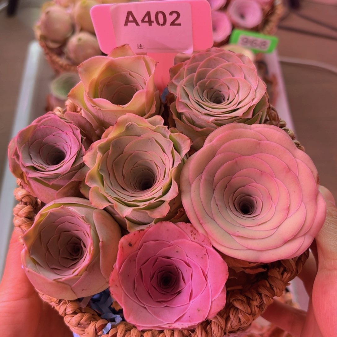 新人福利一物一拍A402 7颗带篮