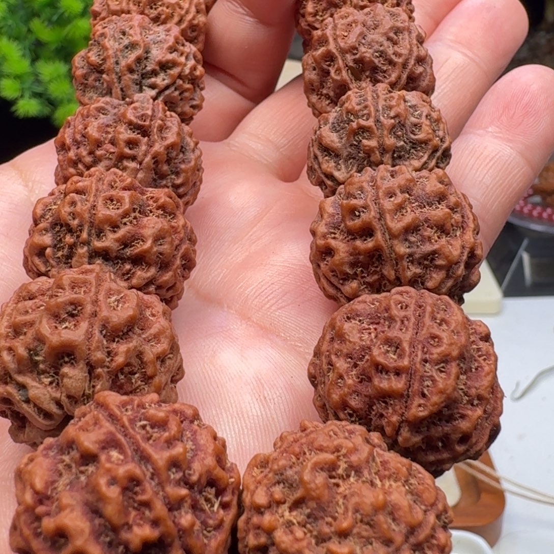 金刚菩提手串粗筋蜂窝双龙