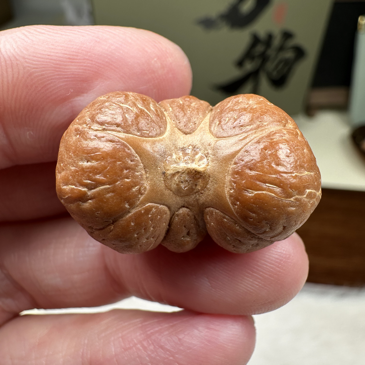 八星尺寸29mm凤眼菩提