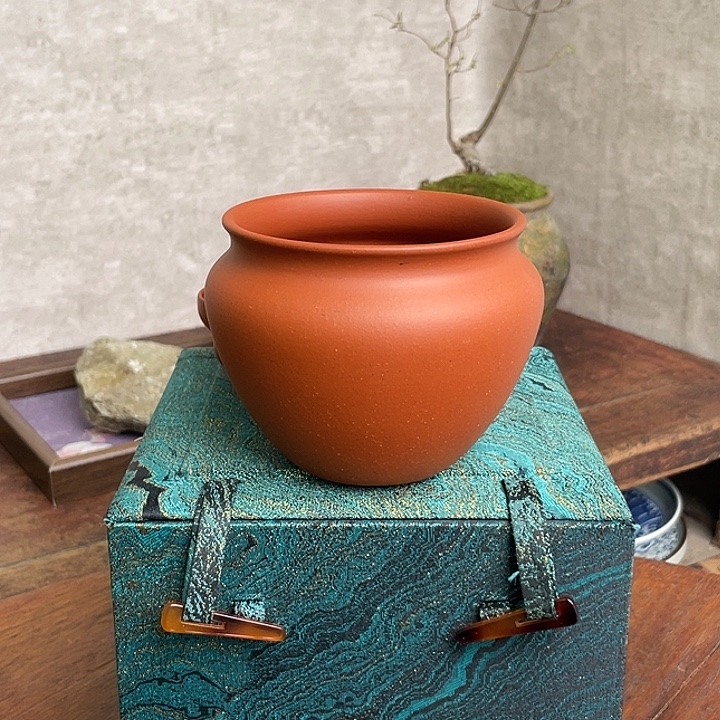 马蹄尖的人是最棒