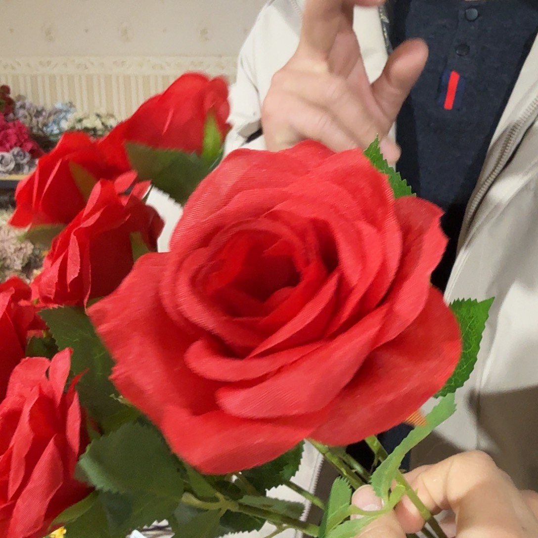 红色单只玫瑰50支装