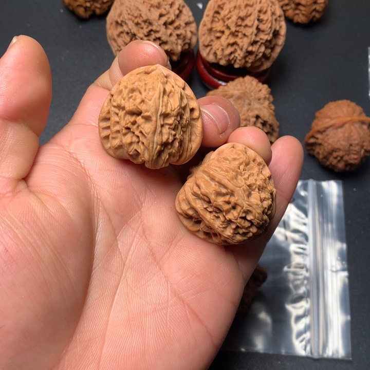 文玩核桃把件34白狮子1307