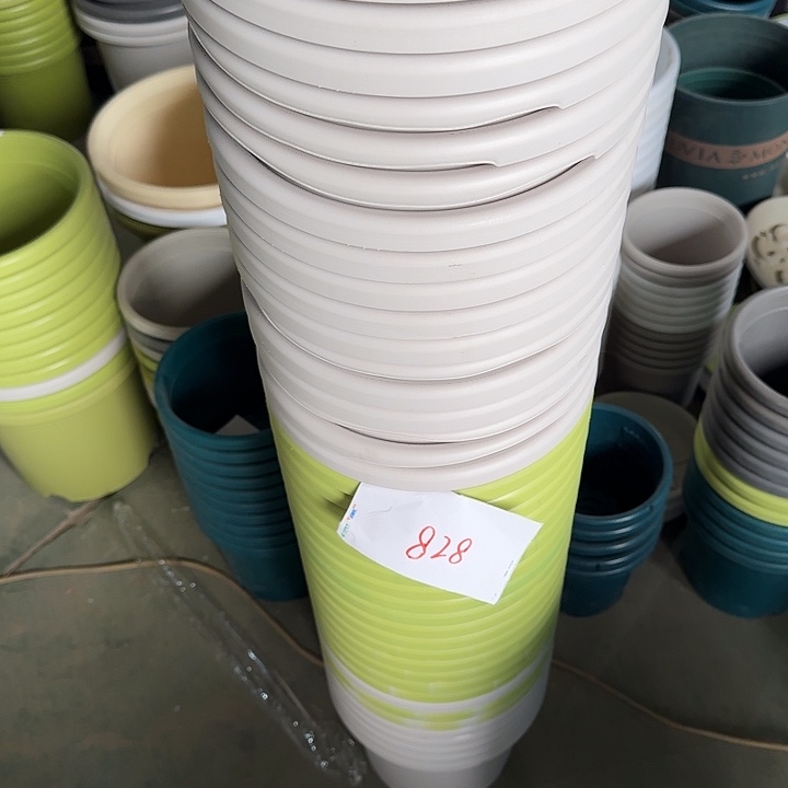 编号828缺口10个无托