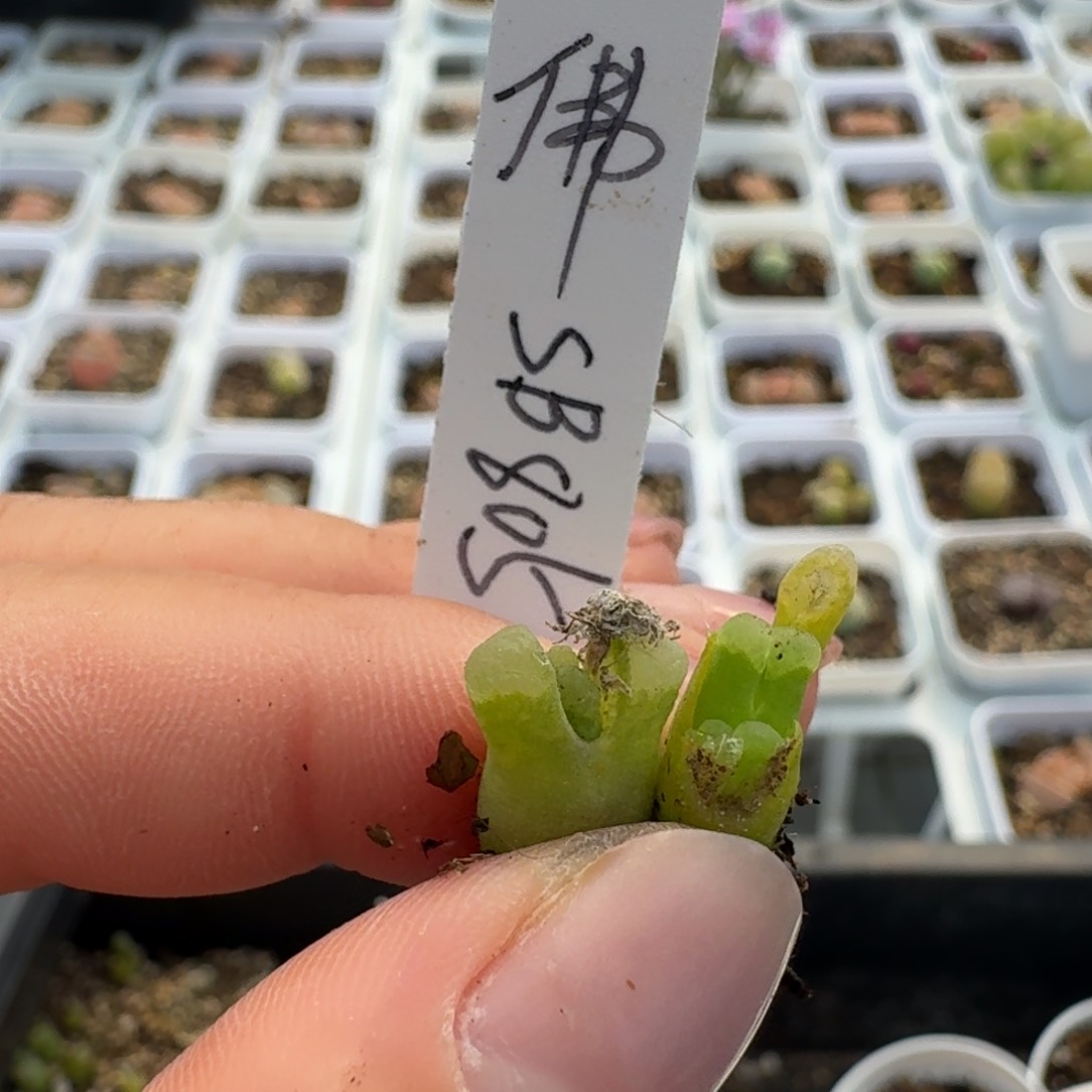 128拉裤土咯哦WTT咯哦哦