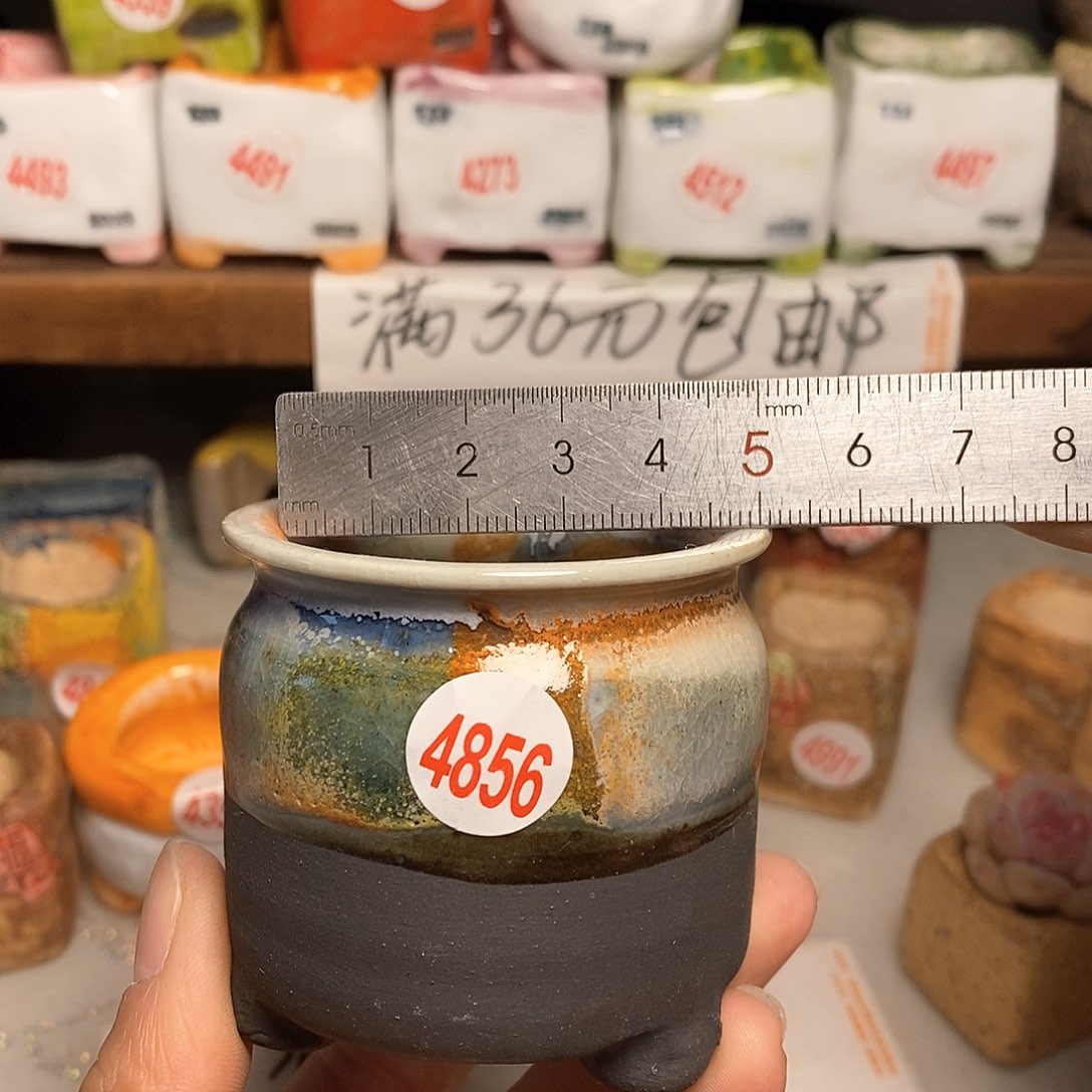 红陶拍5送一个小