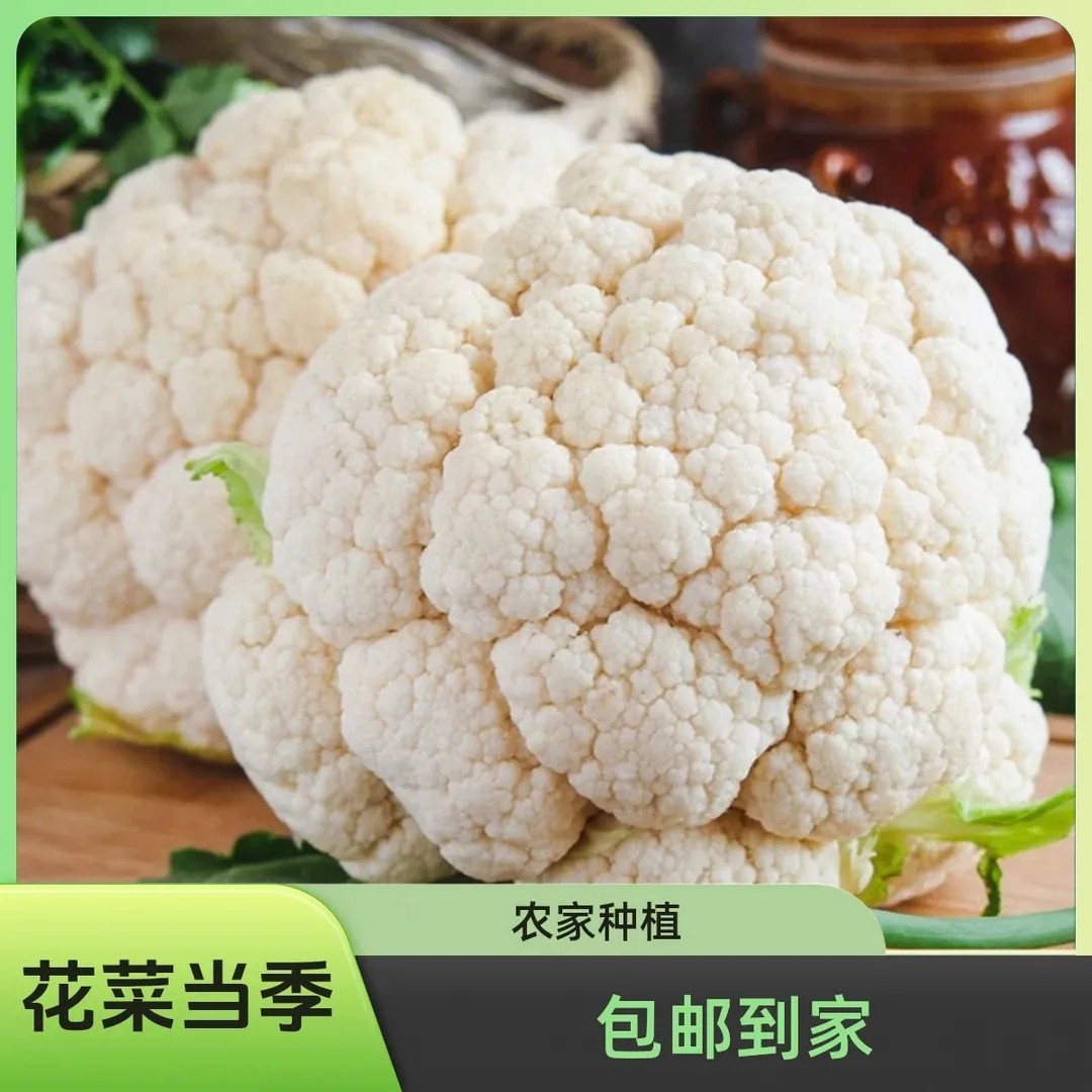 云南白花菜当季新鲜蔬菜花椰菜紧实花干锅菜火锅菜刷菜便宜批发