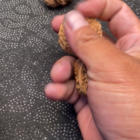 文玩核桃把件137品种5.5