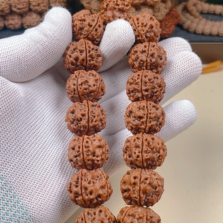 金刚菩提手串23五星梅花双龙