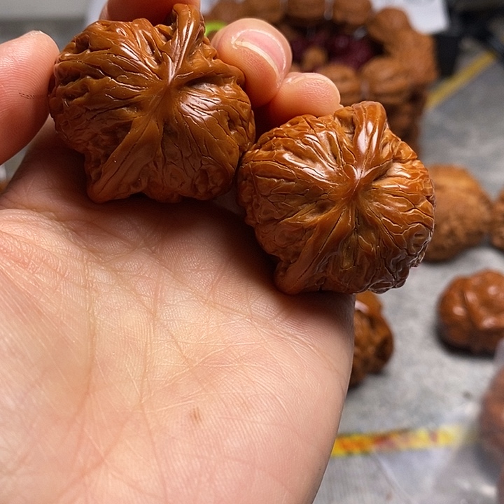 用***6大叶紫檀（黑酸枝木类）