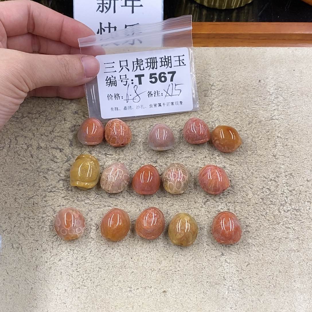 硅化珊瑚（珊瑚玉）1未镶嵌逸*