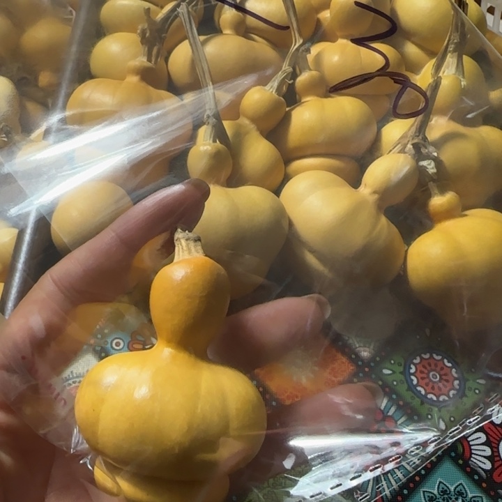 子***迅葫芦钱袋子葫芦手把件