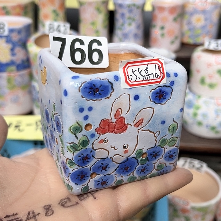 红陶满48包邮多肉花盆
