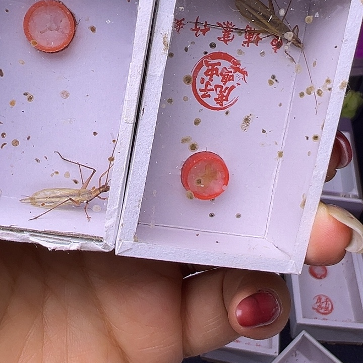 雪***狼哈哈哈哈哈哈哈哈哈哈哈哈哈