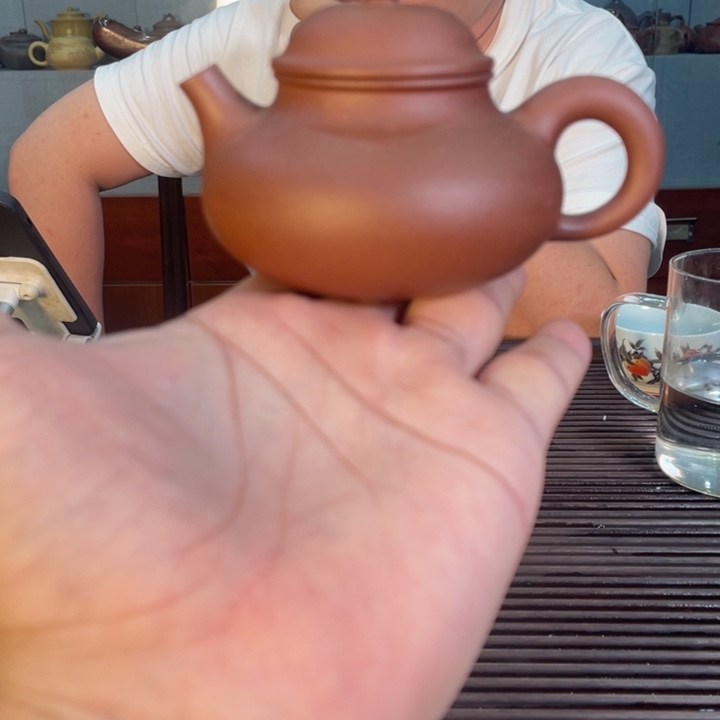 茶壶紫砂哈哈哈哈哈这个综艺节目真的是太