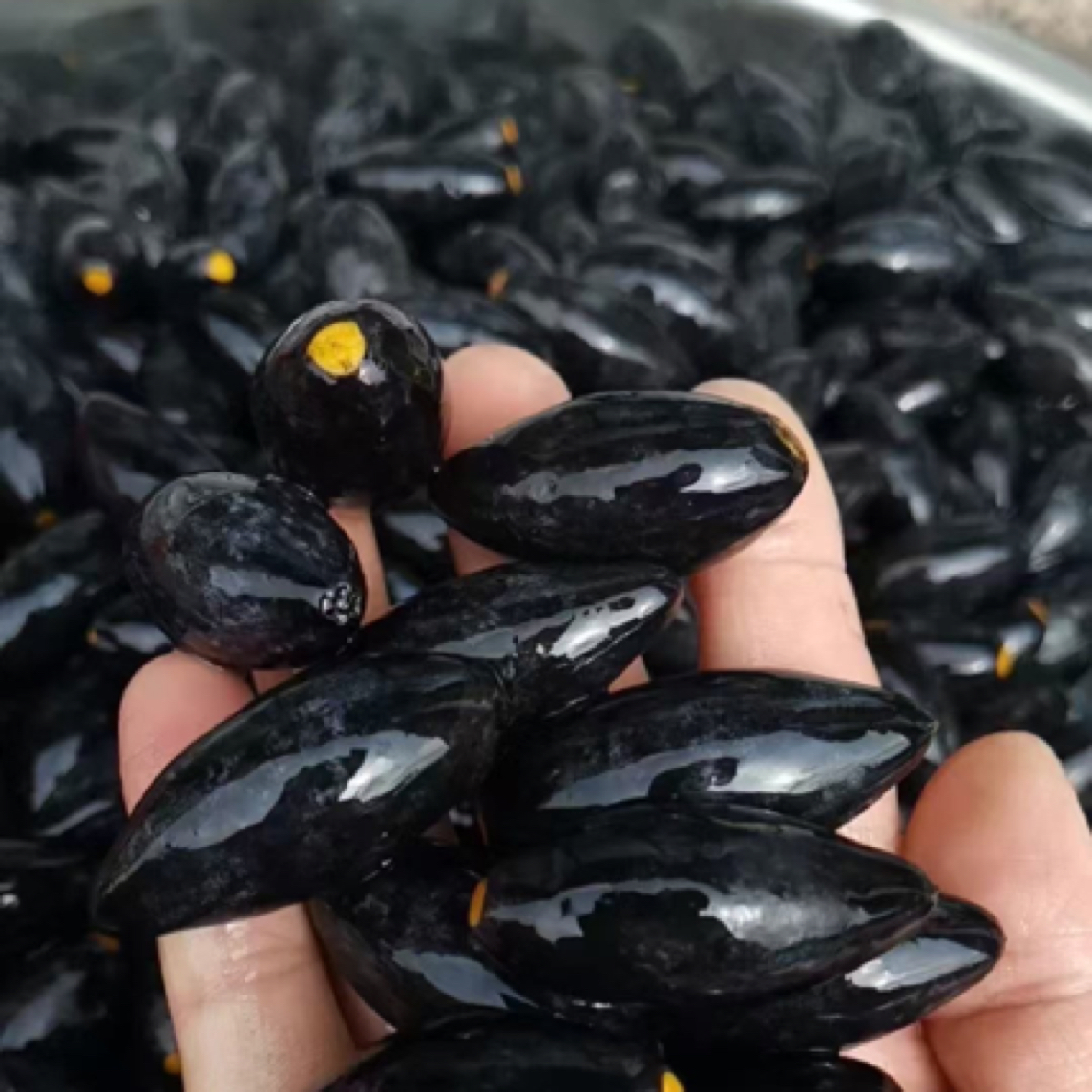 潮汕特产黑橄榄油揽乌榄盐水腌制原味杂咸配白粥790g瓶装包邮