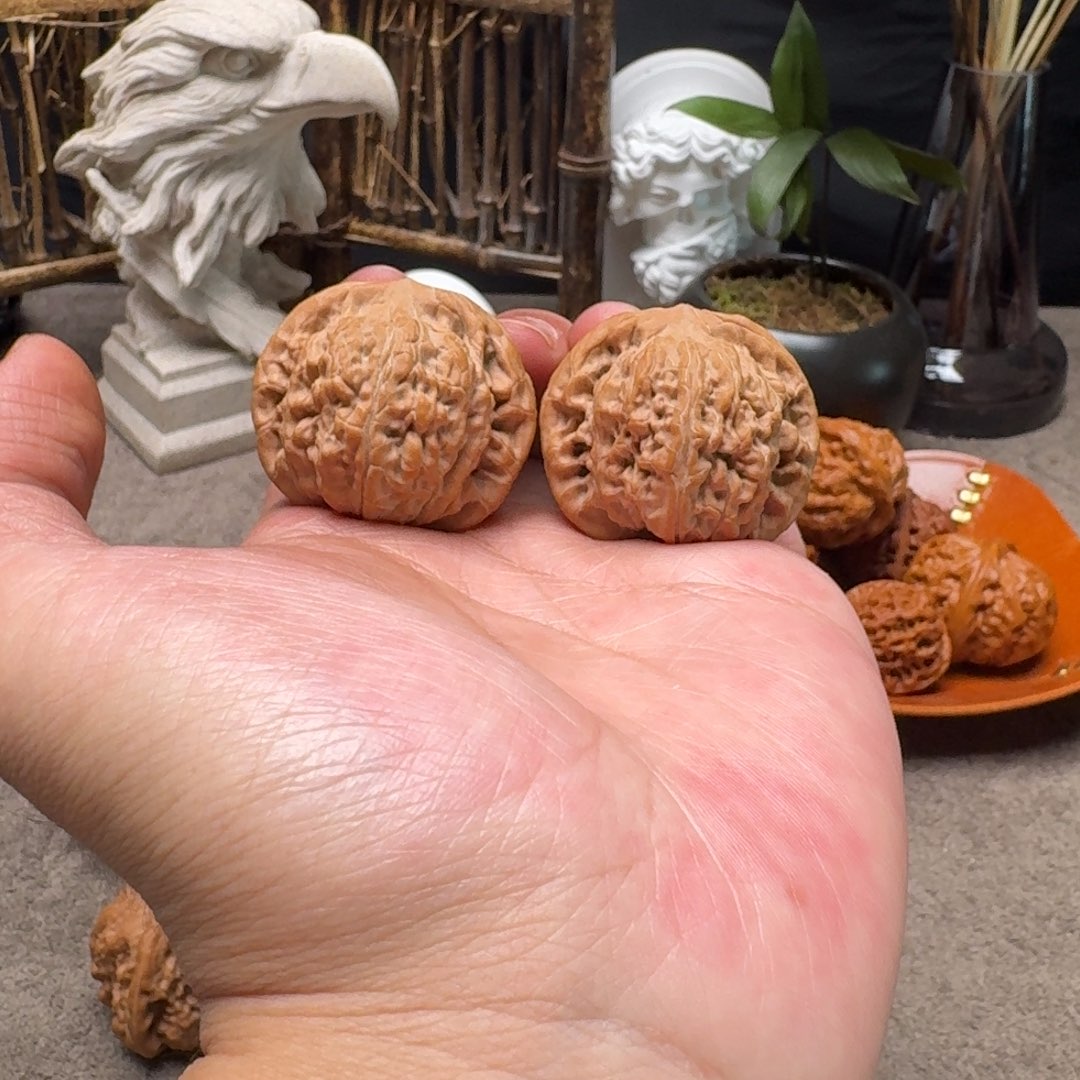手串/手链核桃40全品顶级望月